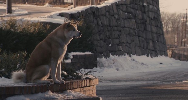 Stasera in tv su Rai 1 Hachiko con Richard Gere (4)