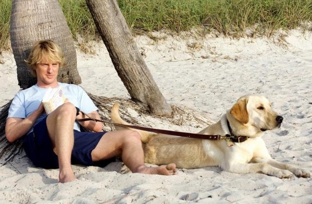 Stasera in tv su Canale 5 Io & Marley con Owen Wilson e Jennifer Aniston (6)