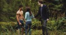 44 foto da New Moon