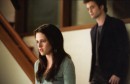 44 foto da New Moon