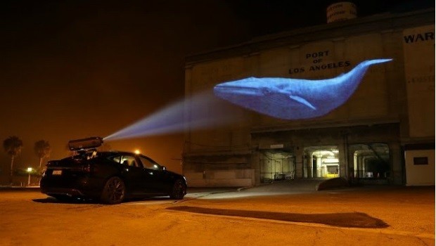 Racing Extinction