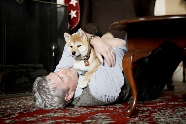 Stasera in tv su Rai 1 Hachiko con Richard Gere (6)