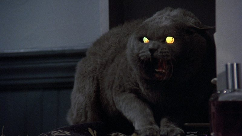 pet-sematary-e1512698232652.jpeg