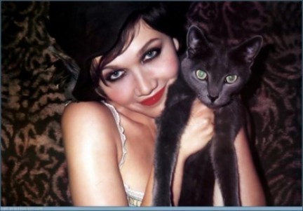 Maggie Gyllenhaal e gattina