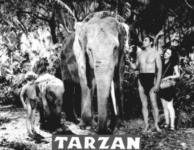 Tarzan