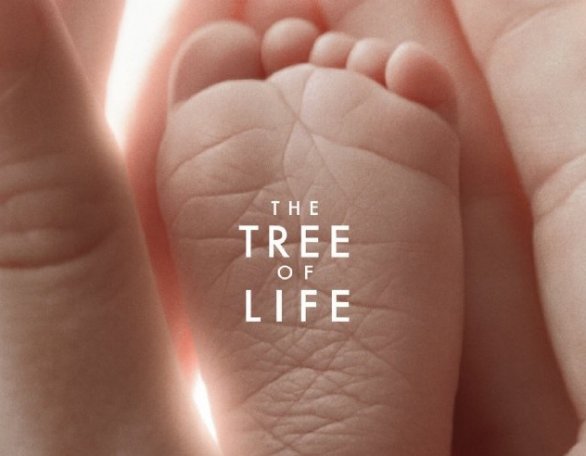 The_Tree_of_life_foto-Poster