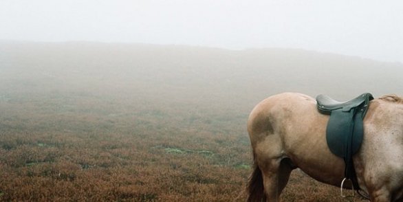 Wuthering_Heights_CIME_TEMPESTOSE_ANDREA_ARNOLD