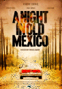 A Night in Old Mexico: poster e foto del film con Robert Duvall