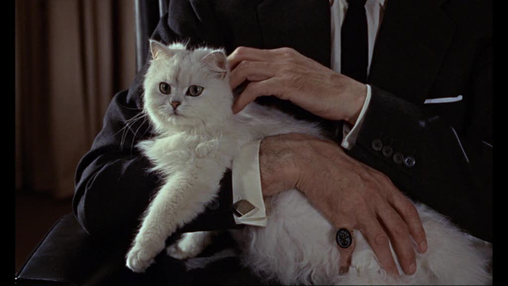 02-agente-007-dalla-russia-con-amore-1963-blofeld-anthony-dawson-alla-sua-prima-apparizione-assoluta-mentre-accarezza-il-suo-gatto.jpg