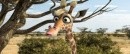 Animals United 3d: conosciamo i protagonisti