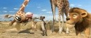 Animals United 3d: conosciamo i protagonisti