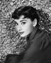 Audrey Hepburn, 1 gennaio 1950