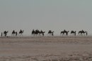 Black Gold diventa Il Principe del Deserto - locandina italiana, sinossi e fotogallery del nuovo film di Jean-Jacques Annaud