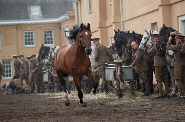 Stasera in tv su Canale 5 War Horse di Steven Spielberg (5)