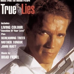 Stasera in tv su Rete 4 True Lies con Arnold Schwarzenegger (1)