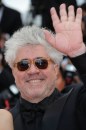 Cannes 2011 - le immagini del photocall di This must be the Place e del red carpet di La Piel que Habito