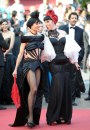 Cannes 2011 - le immagini del photocall di This must be the Place e del red carpet di La Piel que Habito