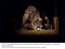 Come l’acqua per gli elefanti (Water for Elephants): 8 clips e qualche nuova foto del film