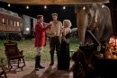 Come l\'Acqua per gli Elefanti (Water for Elephants) - nuove foto ufficiali