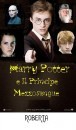 Concorso Harry Potter: votate il vincitore