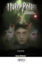 Concorso Harry Potter: votate il vincitore