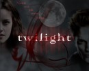 Concorso Twilight: ecco il vincitore del libro