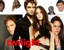 Concorso Twilight: ecco il vincitore del libro