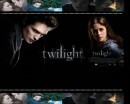 Concorso Twilight: ecco il vincitore del libro