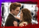 Concorso Twilight: ecco il vincitore del libro