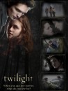 Concorso Twilight: ecco il vincitore del libro