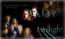 Concorso Twilight: ecco il vincitore del libro