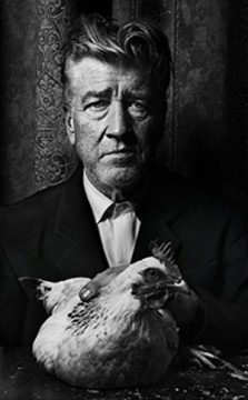 david lynch ritratto