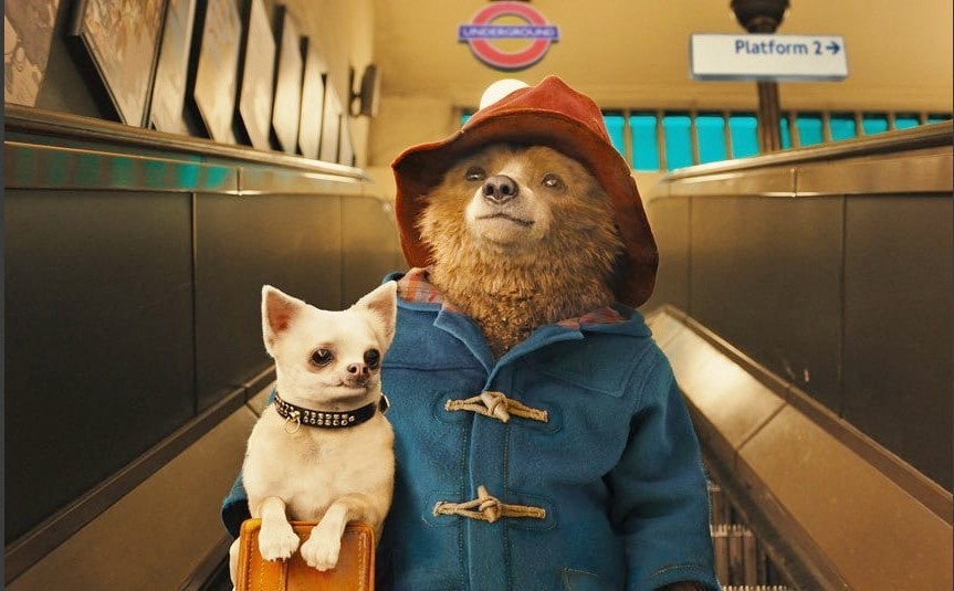 stasera-in-tv-paddington-su-italia-1.jpg