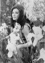 Edwige Fenech birthday gallery, attrici italiane