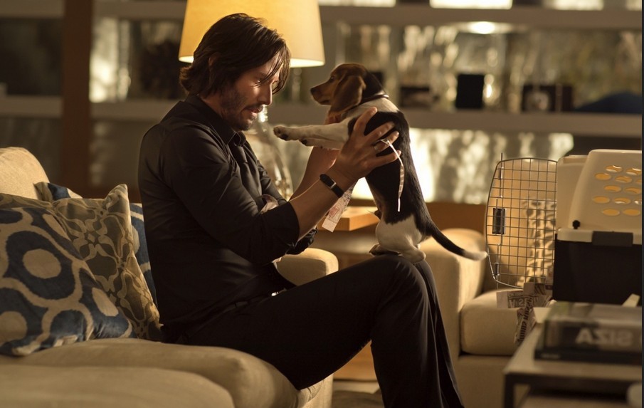 stasera-in-tv-john-wick-su-italia-1-4.jpg