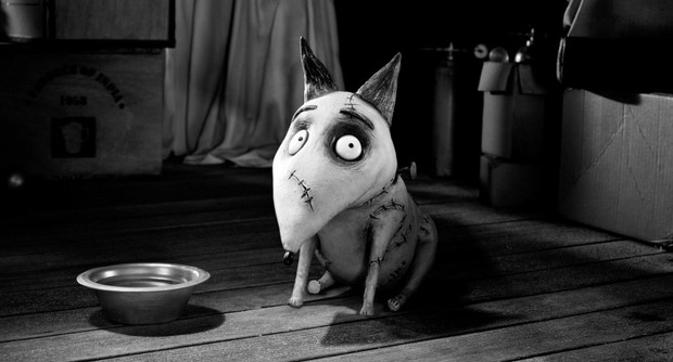 stasera-in-tv-su-rai-3-frankenweenie-di-tim-burton-7.jpg