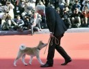 Festival Internazionale del film di Roma: red carpet e conferenza stampa di Hachiko: A Dog's Story