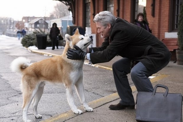 Stasera in tv su Rai 1 Hachiko con Richard Gere (3)