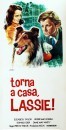 Film sui Cani: i 10 preferiti di Cineblog