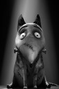 Frankenweenie poster