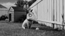 Frankenweenie: prime immagini