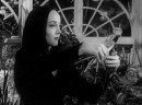 Carolyn Jones Morticia gothic sexy gallery di Halloween