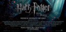 Harry Potter e i Doni della Morte: Parte 1 - la locandina ufficiale italiana e due character poster