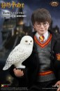 Harry Potter:  foto nuova action figure di Daniel Radcliffe in "La pietra filosofale"