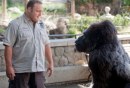 Il Signore dello Zoo: trailer originale e foto della commedia Zookeeper