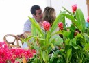 Jennifer Aniston, Adam Sandler e Nicole Kidman fotografati sul set di Just Go With It