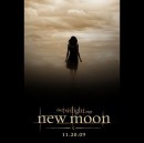 Le locandine fake di New Moon?