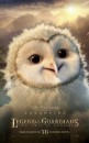 Legend of the Guardians: The Owls of Ga’Hoole - otto splendidi character poster