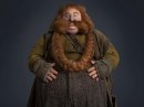 Lo Hobbit: Peter Jackson annuncia l\\'arrivo del nuovo trailer più foto inedite