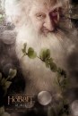 Lo Hobbit: pioggia di character poster